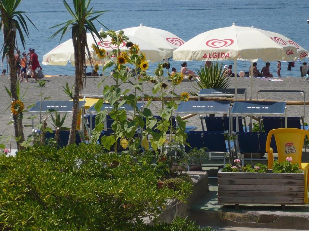 Zi Bak Bed and Breakfast Barano dʼIschia Eksteriør billede